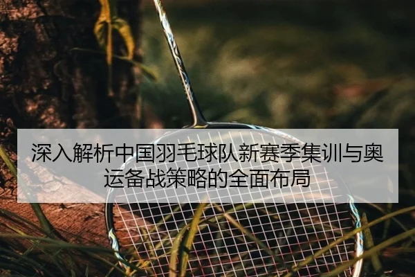 深入解析中国羽毛球队新赛季集训与奥运备战策略的全面布局